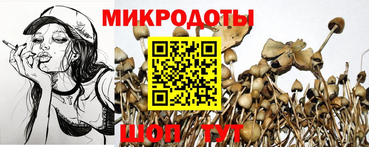 Псилоцибиновые грибы GOLDEN TEACHER Донской