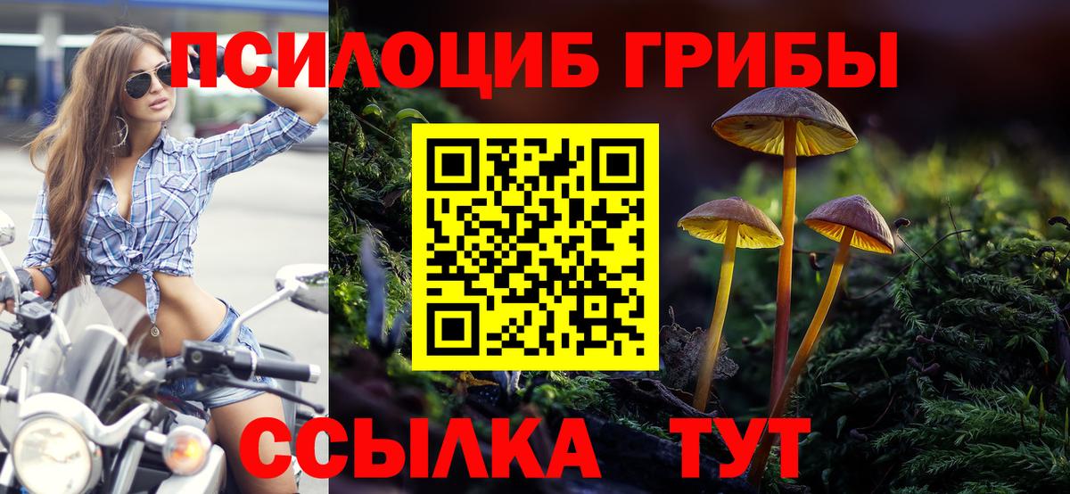 Псилоцибиновые грибы Magic Shrooms  Вход с VPN  Донской 